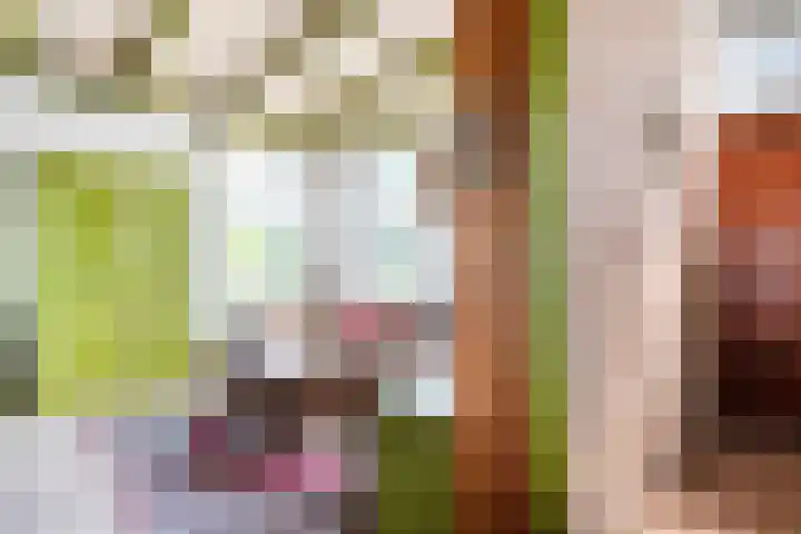 Rheezerend 118 Dedemsvaart thumbnail 5
