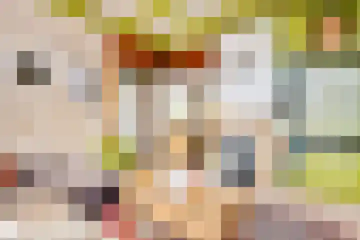 Rheezerend 118 Dedemsvaart thumbnail 7