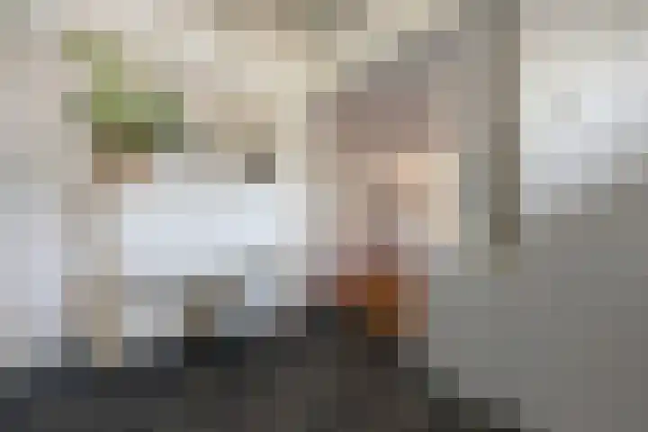 Rheezerend 142 Dedemsvaart thumbnail 12