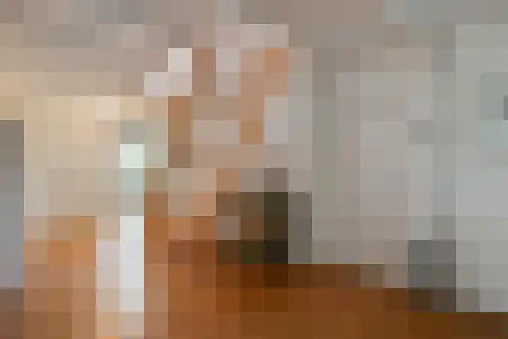 Rheezerend 142 Dedemsvaart thumbnail 13