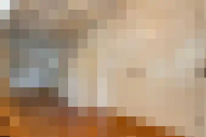 Rheezerend 142 Dedemsvaart thumbnail 14