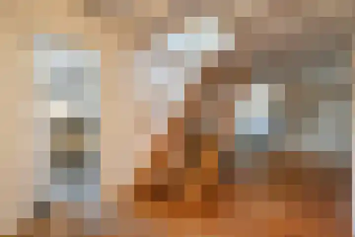 Rheezerend 142 Dedemsvaart thumbnail 15