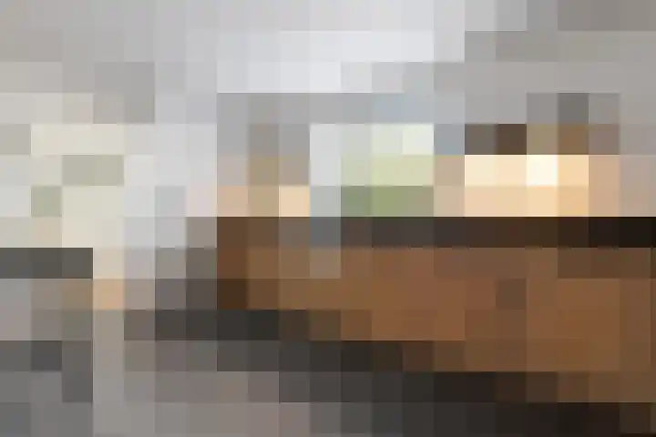Rheezerend 142 Dedemsvaart thumbnail 16