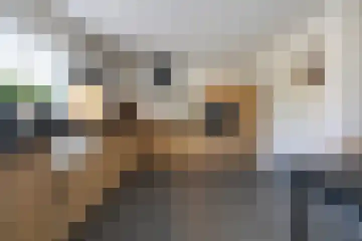Rheezerend 142 Dedemsvaart thumbnail 17