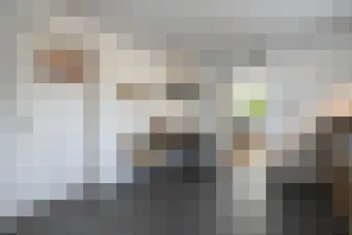 Rheezerend 142 Dedemsvaart thumbnail 18