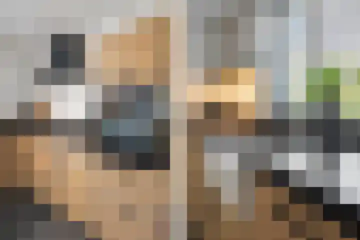Rheezerend 142 Dedemsvaart thumbnail 19