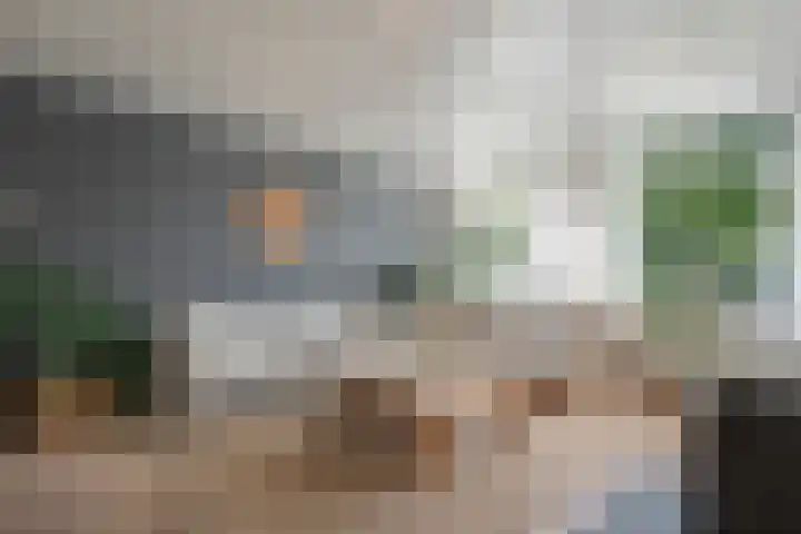 Rheezerend 142 Dedemsvaart thumbnail 21