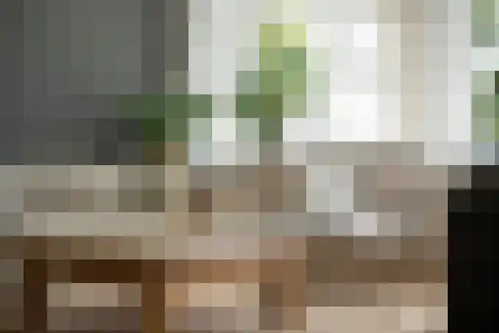 Rheezerend 142 Dedemsvaart thumbnail 22