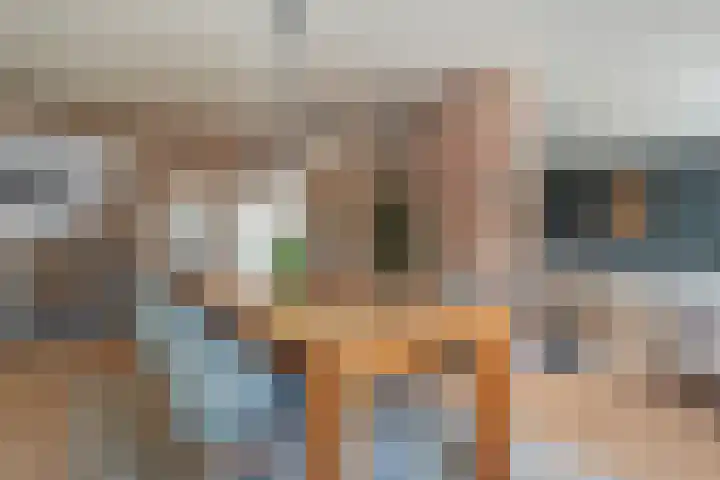 Rheezerend 142 Dedemsvaart thumbnail 25