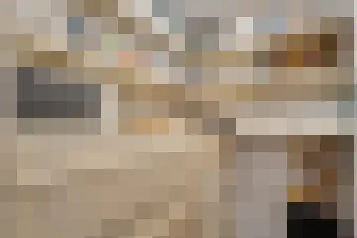 Rheezerend 142 Dedemsvaart thumbnail 28