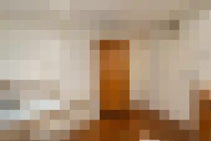 Rheezerend 142 Dedemsvaart thumbnail 30