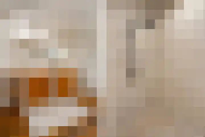 Rheezerend 142 Dedemsvaart thumbnail 31