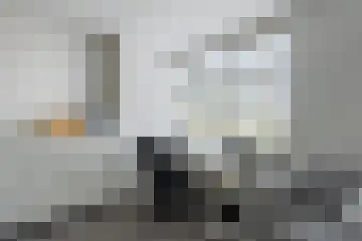 Rheezerend 142 Dedemsvaart thumbnail 34