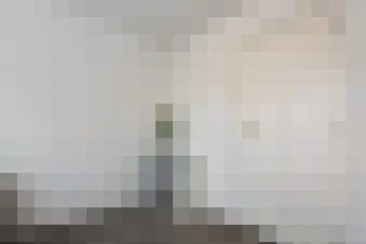 Rheezerend 142 Dedemsvaart thumbnail 35