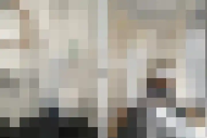 Rheezerend 142 Dedemsvaart thumbnail 36