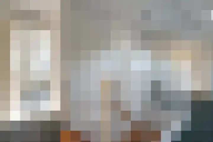 Rheezerend 142 Dedemsvaart thumbnail 37