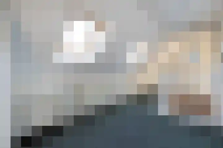 Rheezerend 142 Dedemsvaart thumbnail 38