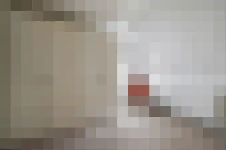 Rheezerend 142 Dedemsvaart thumbnail 39