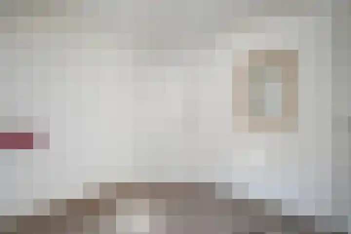 Rheezerend 142 Dedemsvaart thumbnail 40