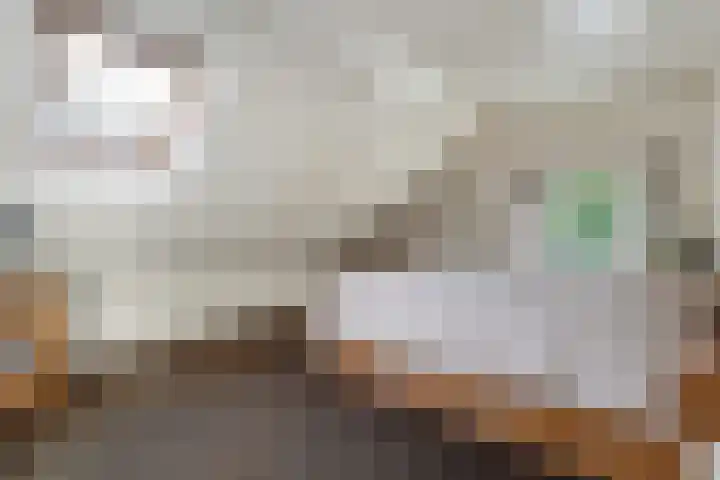 Rheezerend 142 Dedemsvaart thumbnail 41