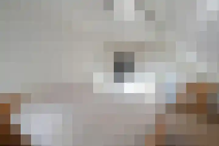 Rheezerend 142 Dedemsvaart thumbnail 42