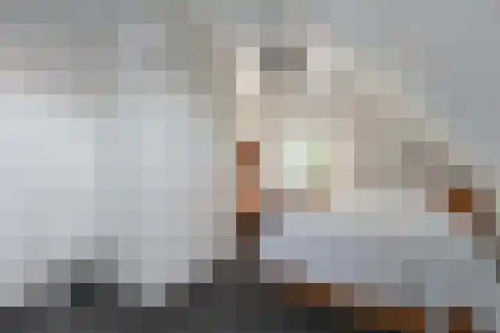 Rheezerend 142 Dedemsvaart thumbnail 43