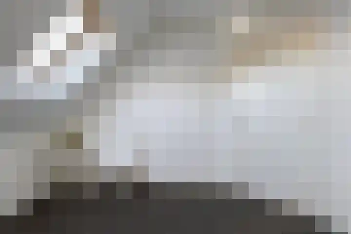 Rheezerend 142 Dedemsvaart thumbnail 44