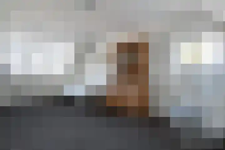 Rheezerend 142 Dedemsvaart thumbnail 46
