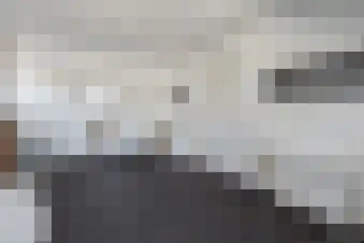 Rheezerend 142 Dedemsvaart thumbnail 47