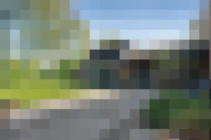 Rheezerend 142 Dedemsvaart thumbnail 50