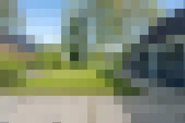 Rheezerend 142 Dedemsvaart thumbnail 51