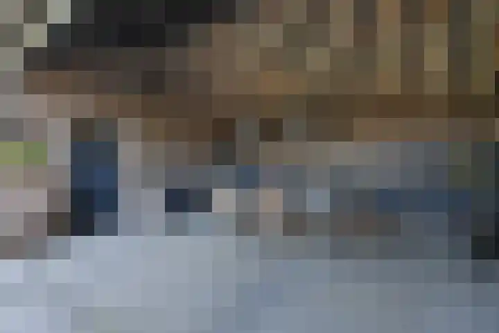 Rheezerend 142 Dedemsvaart thumbnail 52