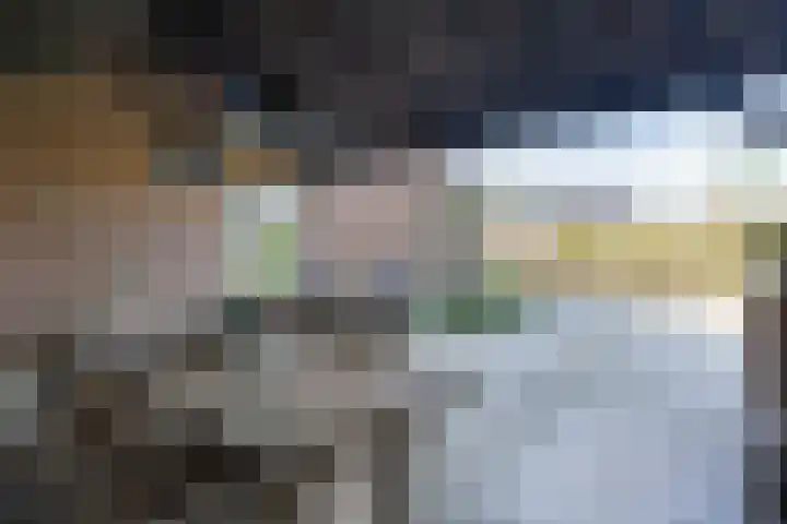 Rheezerend 142 Dedemsvaart thumbnail 53