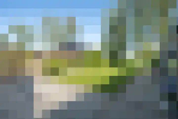 Rheezerend 142 Dedemsvaart thumbnail 55