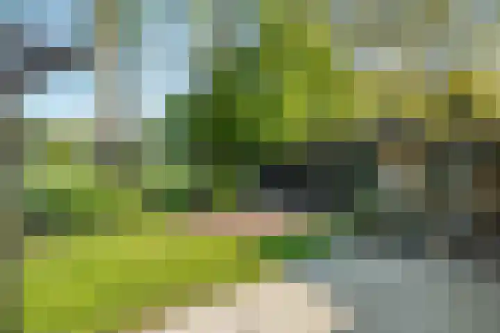 Rheezerend 142 Dedemsvaart thumbnail 56