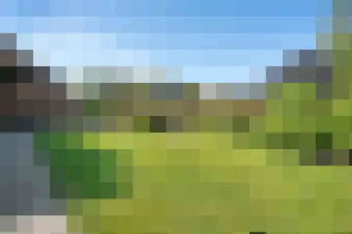 Rheezerend 142 Dedemsvaart thumbnail 57