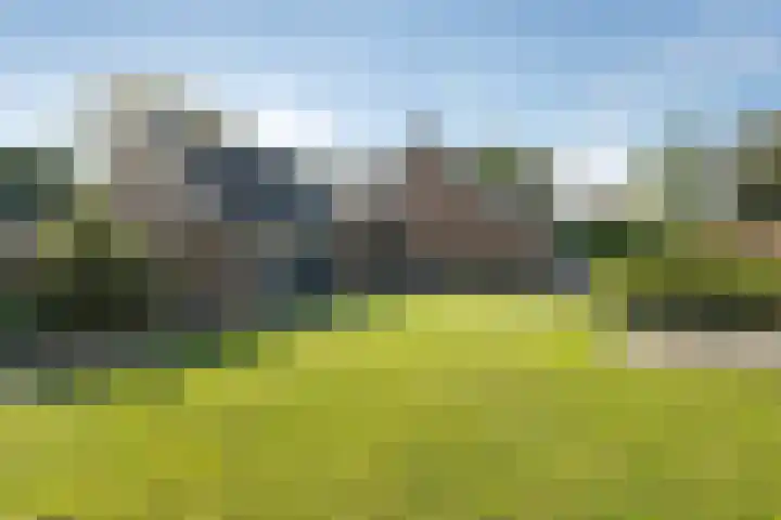 Rheezerend 142 Dedemsvaart thumbnail 58