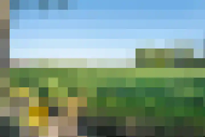 Rheezerend 142 Dedemsvaart thumbnail 59