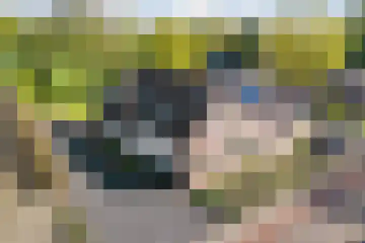 Rheezerend 142 Dedemsvaart thumbnail 7