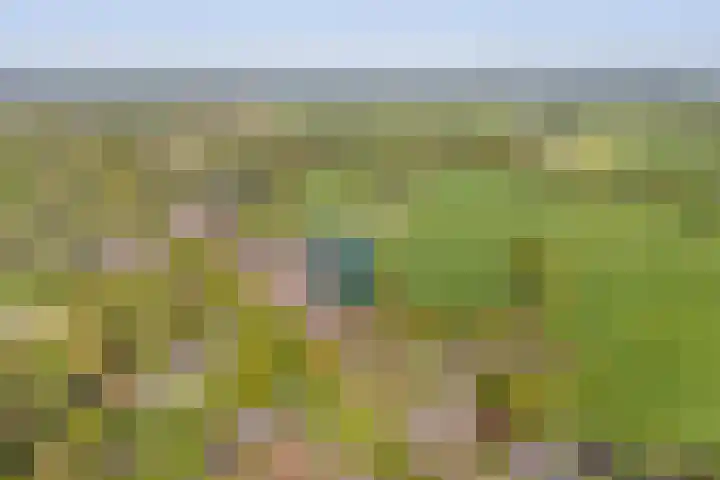 Rheezerend 142 Dedemsvaart thumbnail 8