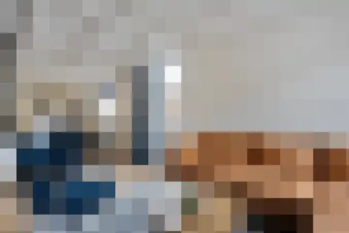 Rheezerend 178 Dedemsvaart thumbnail 11