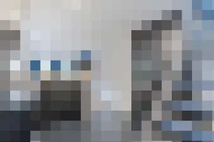 Rheezerend 178 Dedemsvaart thumbnail 14