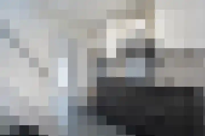 Rheezerend 178 Dedemsvaart thumbnail 16