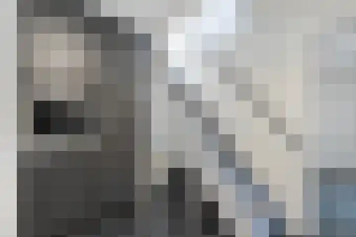 Rheezerend 178 Dedemsvaart thumbnail 17