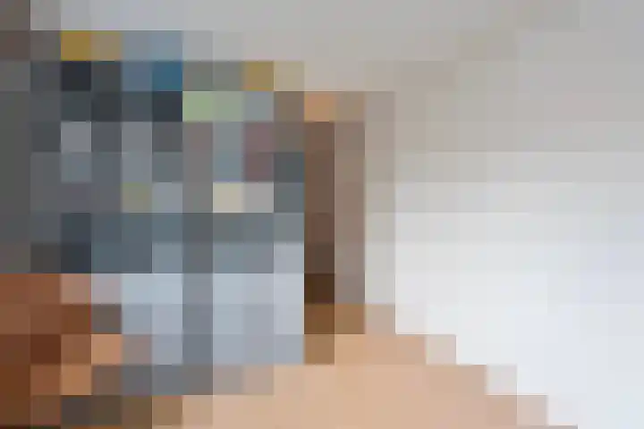 Rheezerend 178 Dedemsvaart thumbnail 19