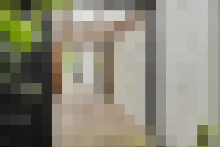 Rheezerend 178 Dedemsvaart thumbnail 26