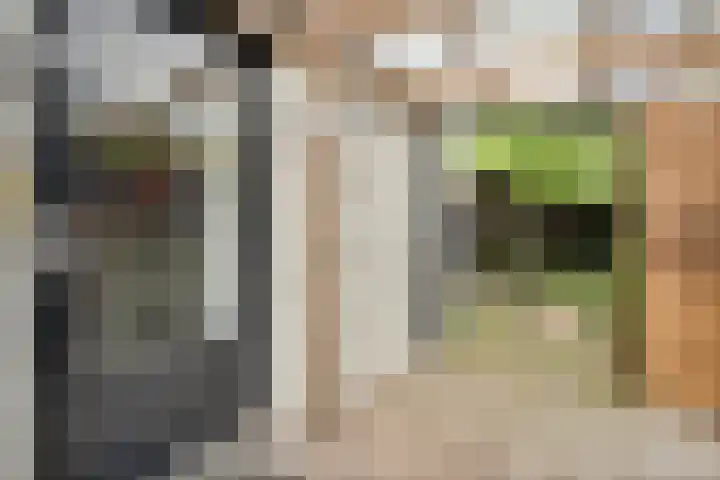 Rheezerend 178 Dedemsvaart thumbnail 27