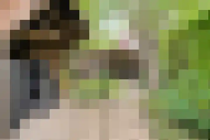Rheezerend 178 Dedemsvaart thumbnail 28