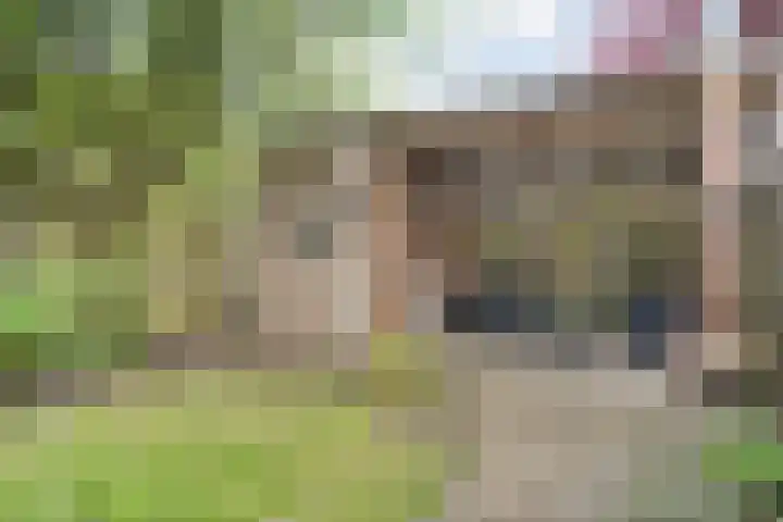 Rheezerend 178 Dedemsvaart thumbnail 29