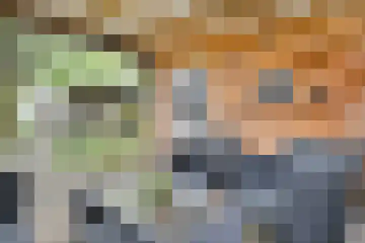 Rheezerend 178 Dedemsvaart thumbnail 31